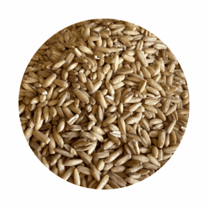 Oat Groats