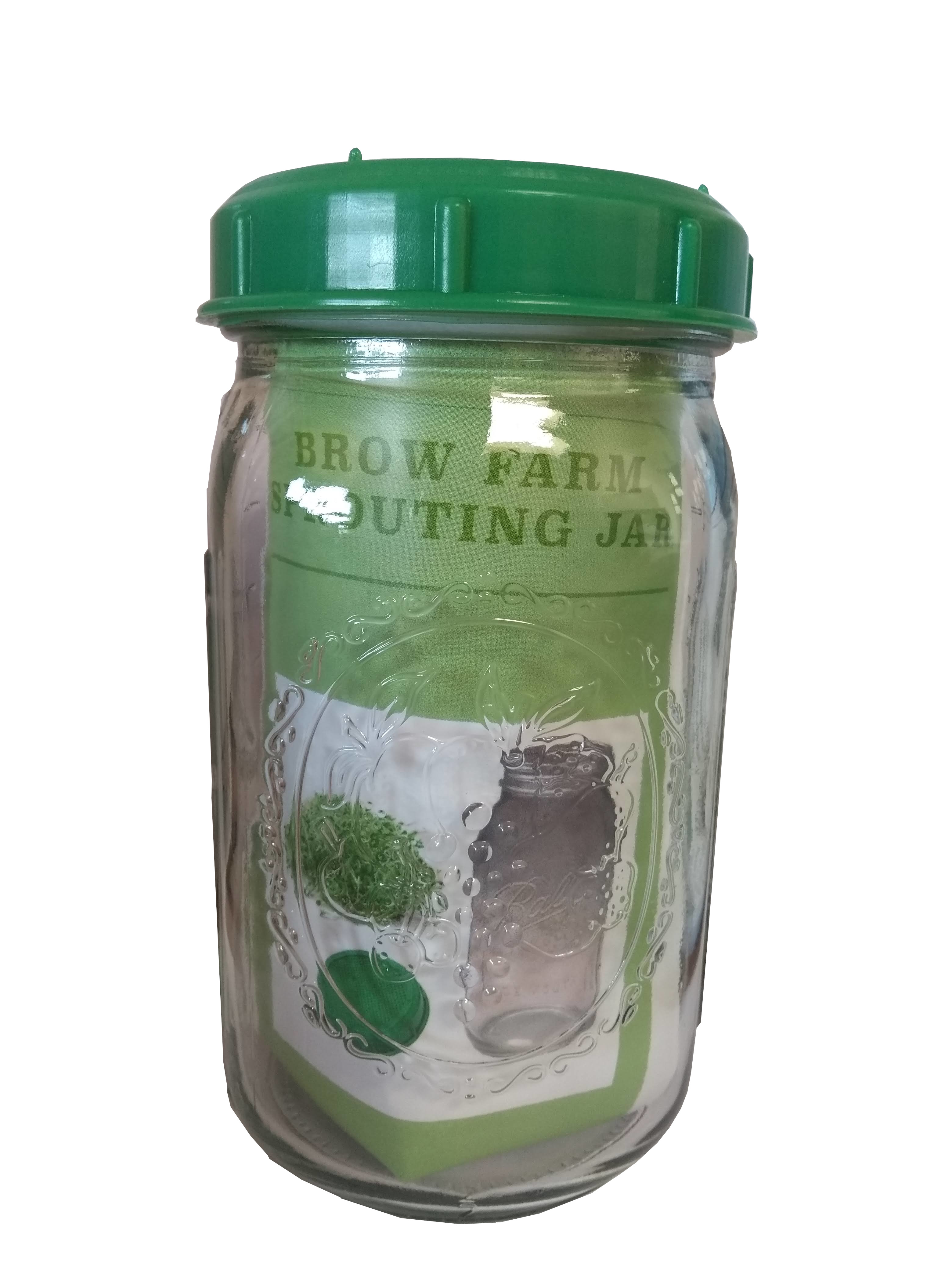 Kitchen Sprouting jar makes it easy to grow healthy tasty greens at home