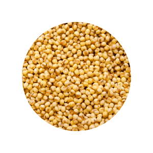 Millet for milling