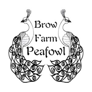 Brow Farm Peafowl logo