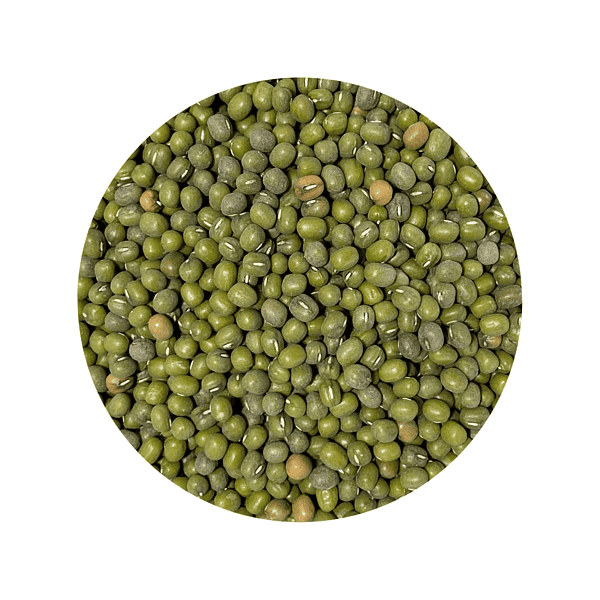 Mung Beans for Sprouting