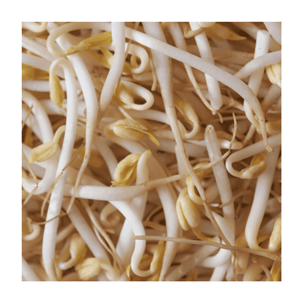 Mung bean sprouts