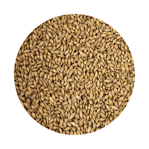 Cooking/Milling Barley